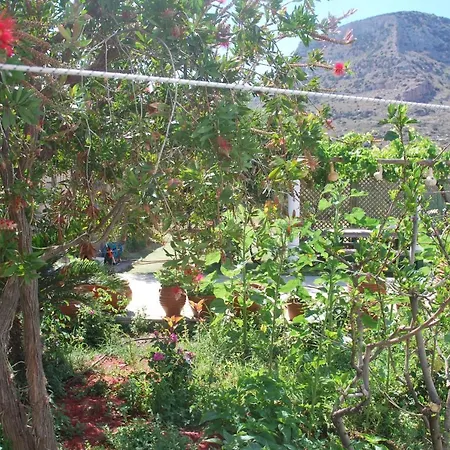 Afroditi 2* קאמארי