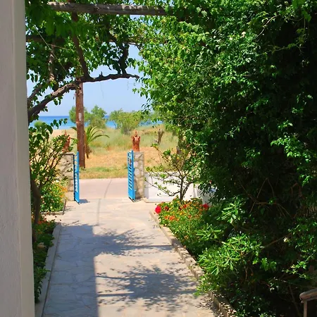 Afroditi קאמארי