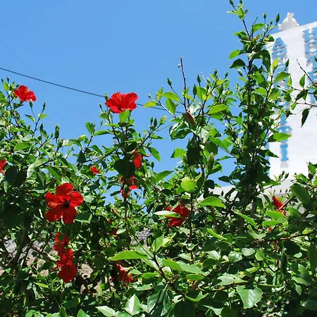 Hotel Afroditi