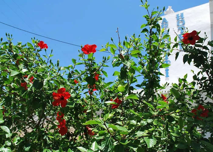 Ξενοδοχείο αφροδίτη